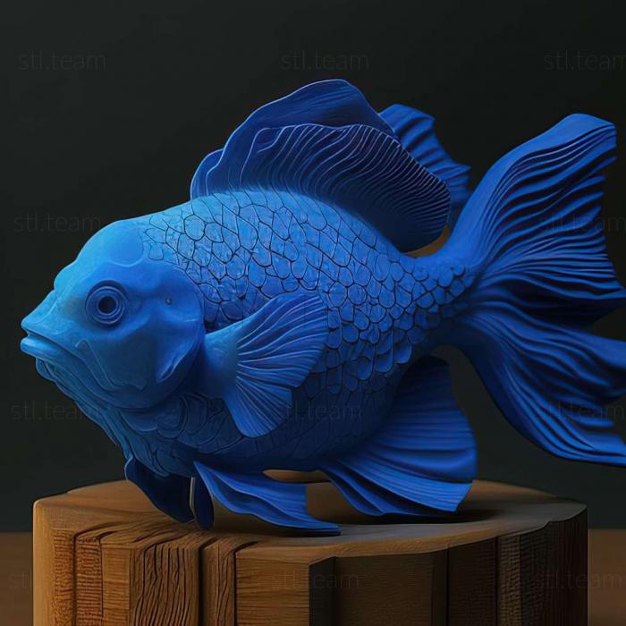 3D модель Риба синя оранда (STL)